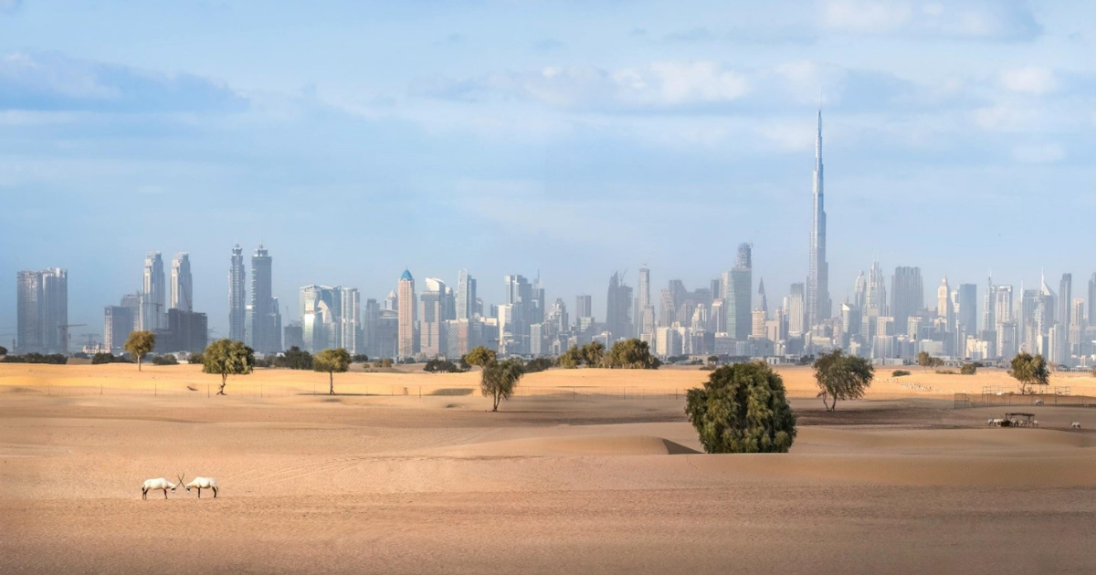 City View