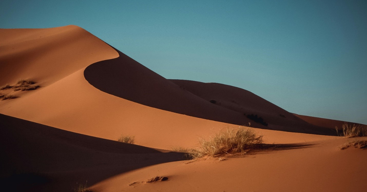 type of Dubai desert safari