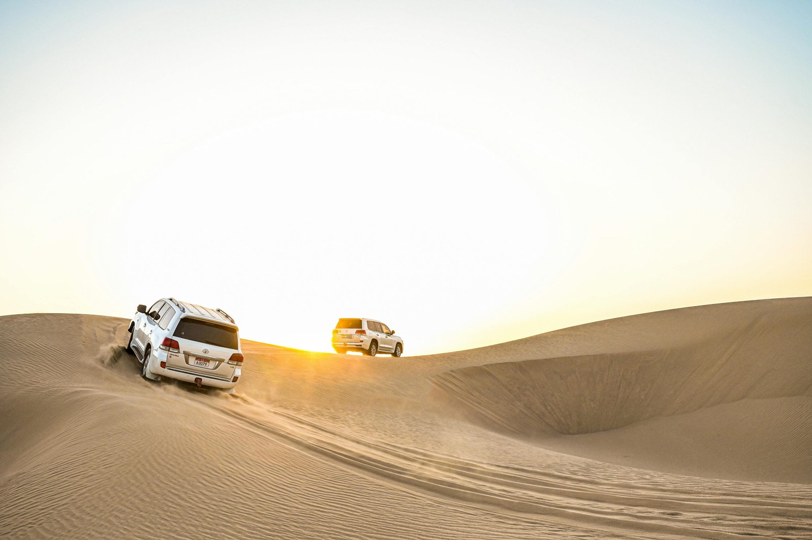 Beyond the City’s Glow A Journey into Dubai’s Most Captivating Natural Experience